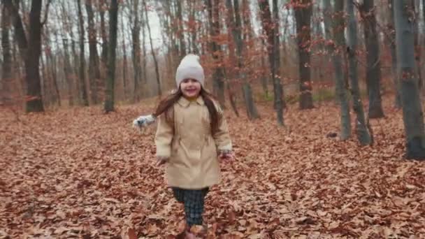 4歳の少女が秋の森を駆け抜ける — ストック動画