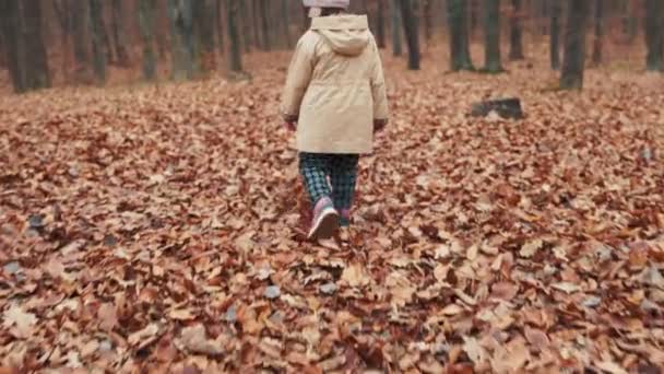 Ένα Κορίτσι Ετών Τρέχει Μέσα Από Φθινόπωρο Δάσος — Αρχείο Βίντεο