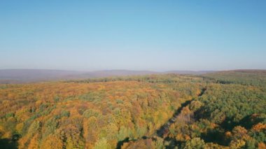 Sonbahar ormanlarında yol yükseklerden alınır.