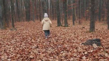 4 yaşında bir kız sonbahar ormanlarında koşar.