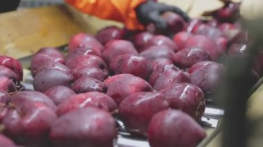 red apples on the automatic line at the factory
