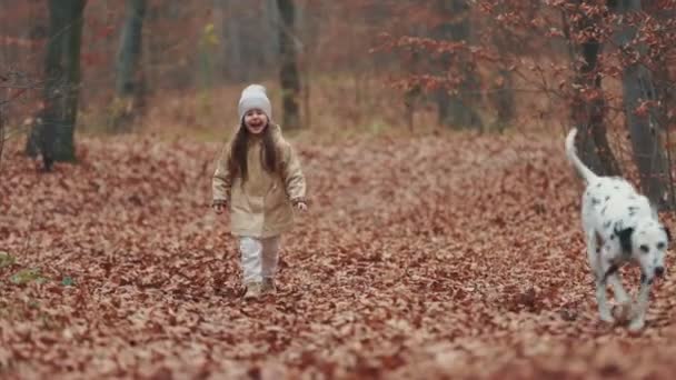子供は秋の森の中で犬と一緒に走り — ストック動画