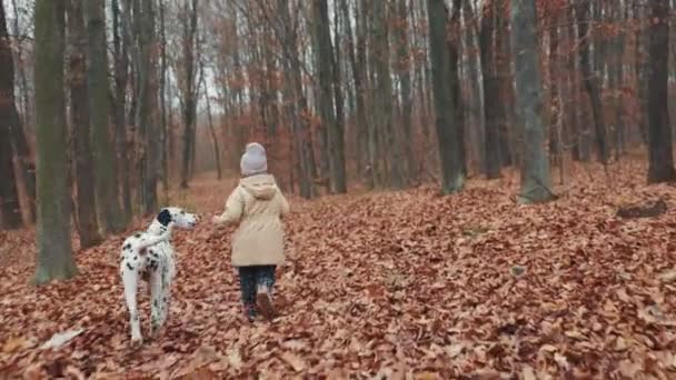 Child Runs Dog Autumn Forest — Wideo stockowe
