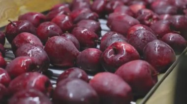 red apples on the automatic line at the factory