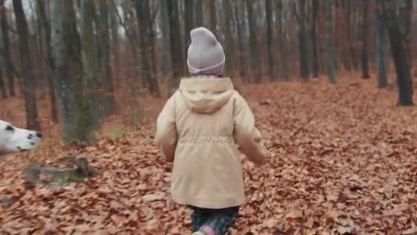 Anak Berjalan Dengan Anjing Hutan Musim Gugur — Stok Video