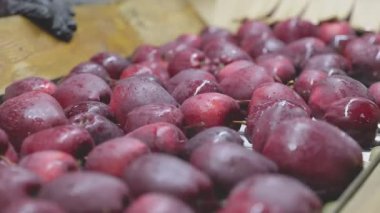red apples on the automatic line at the factory