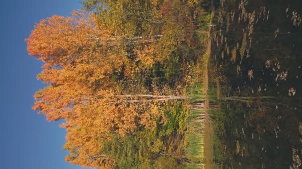 Lake Autumn Forest View — Vídeo de Stock