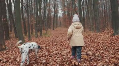 4 yaşında bir kız sonbahar ormanlarında koşar.