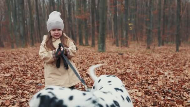 Child Runs Dog Autumn Forest — Wideo stockowe