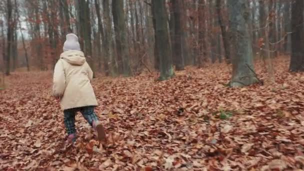 Dívka Věku Let Běží Podzimním Lesem — Stock video