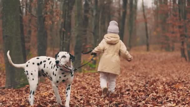 Child Runs Dog Autumn Forest — Vídeo de stock