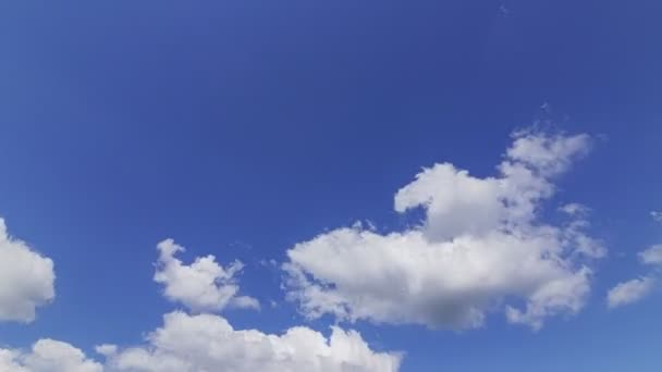 Timelapse Sky White Clouds Daytime — Video Stock