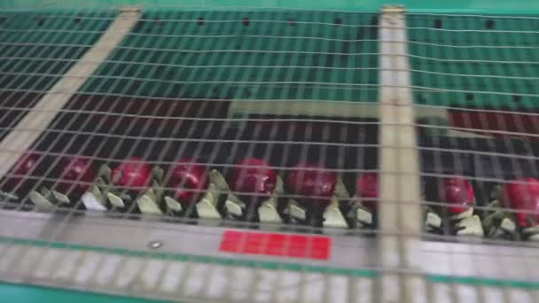 Sorting Red Apples Automatic Line — Vídeo de Stock