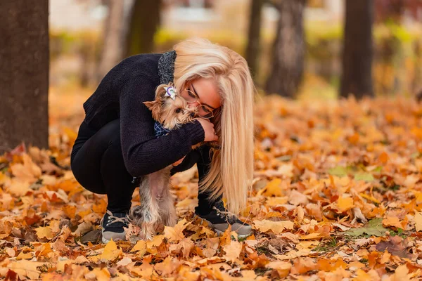 Girl Her Little Dog Autumn Park — стоковое фото