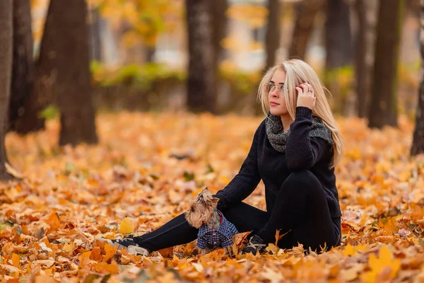 Dziewczyna Jej Małym Psem Jesiennym Parku — Zdjęcie stockowe