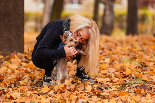 Girl Her Little Dog Autumn Park — Stock Photo, Image