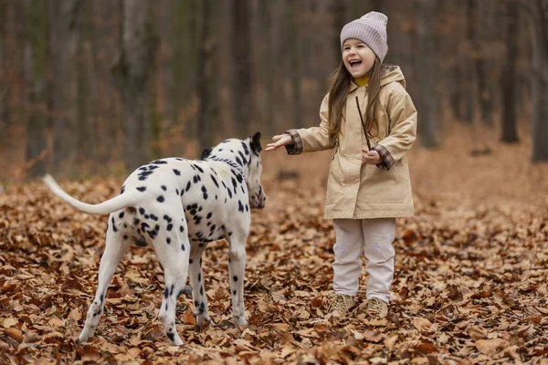Girl Dalmatian Dog Autumn Forest — Stock Photo, Image