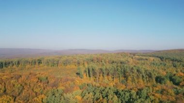 Sonbahar ormanı güneşli havada hava manzarası