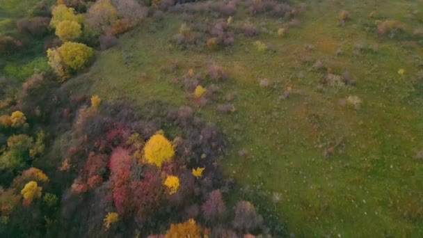 Autumn Landscape Shot Birds Eye View — Stock Video