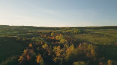 Sonbahar ormanı güneşli havada hava manzarası