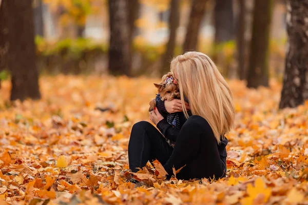 在秋天的公园里带着小狗的小女孩 — 图库照片