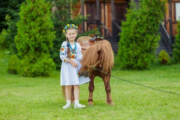 Молода Дівчина Українському Національному Вбранні Гладить Поні Який Пасеться Лужку — стокове фото