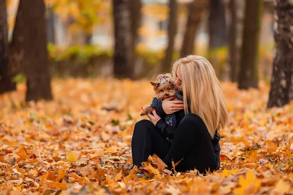 Девушка Маленькой Собачкой Осеннем Парке — стоковое фото