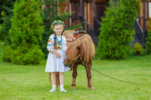Молода Дівчина Українському Національному Вбранні Гладить Поні Який Пасеться Лужку — стокове фото
