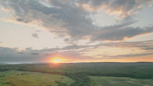 Sunset Sky Meadow Birds Eye View — Stock Video
