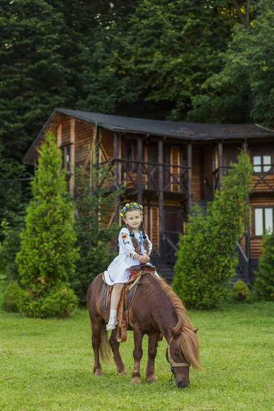 小女孩骑着小马 — 图库照片