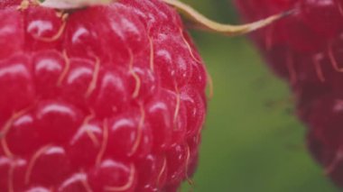 Kırmızı renkli araba yakın çekim, makro