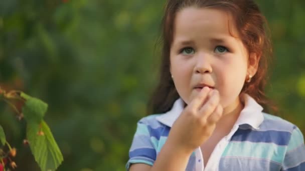 Mała Dziewczynka Maliny Swoim Ogrodzie — Wideo stockowe