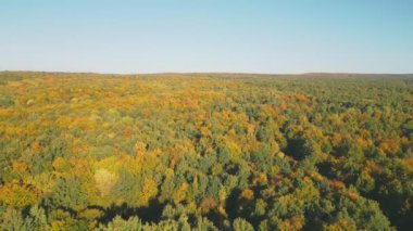 Sonbahar ormanı kuşbakışı güneşin batışıyla aydınlandı.