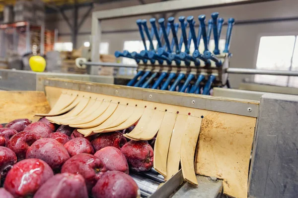 Daha fazla satış için elma seçmek için otomatik satır