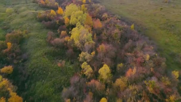 Sträucher Und Keine Bäume Mehr Die Herbst Aus Der Höhe — Stockvideo