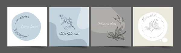简约的花卉标识框架模板系列 由简单的花卉和树叶制成 用于婚宴邀请函产品印刷或带有圆点的标识 — 图库矢量图片
