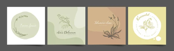 简约的花卉标识框架模板系列 由简单的花卉和树叶制成 用于婚宴邀请函产品印刷或带有圆形绿色棕色斑点的标识 — 图库矢量图片