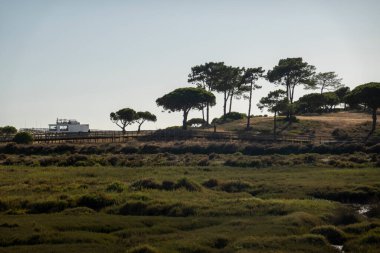 Quinta do Lago bölgesinde bulunan güzel Ria Formosa bataklığı ahşap yolları ve yerel sahil barları, Algarve, Portekiz.