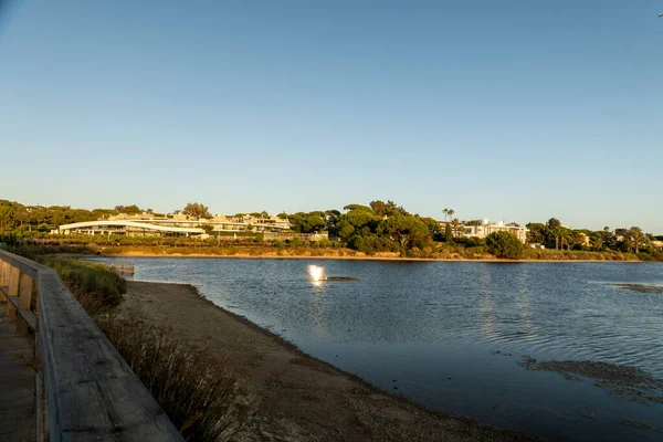 stock image Landscape view of the marshlands of Ria Formosa near Quinta do Lago location in the Algarve, Portugal.