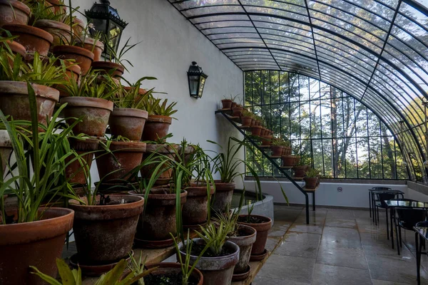 Parktaki Cam Bir Serada Büyük Bir Bitki Bakım Evi Manzarası — Stok fotoğraf
