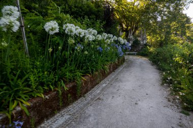 Portekiz, Sintra 'da bulunan Chalet Biester parkının güzel vejeteryan manzarası..