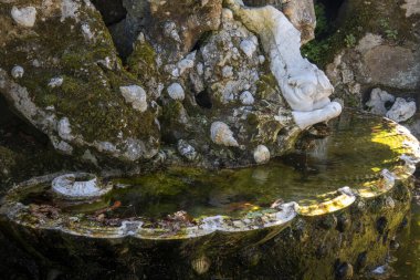 Portekiz, Sintra 'da bulunan Quinta da Regaleira' daki güzel çeşme detayları.