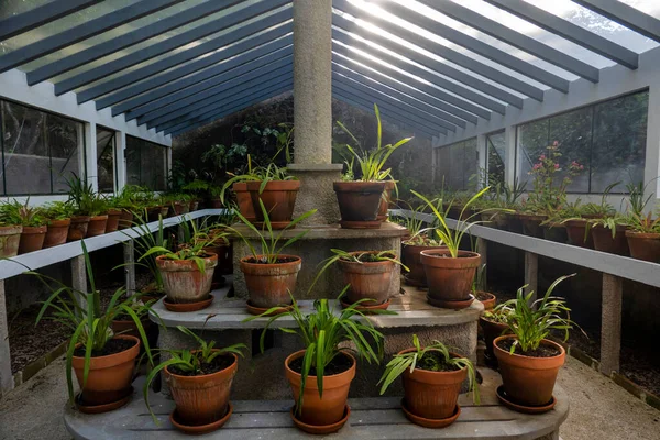 Kilátás Egy Nagy Óvoda Növények Egy Üveg Üvegház Egy Parkban — Stock Fotó
