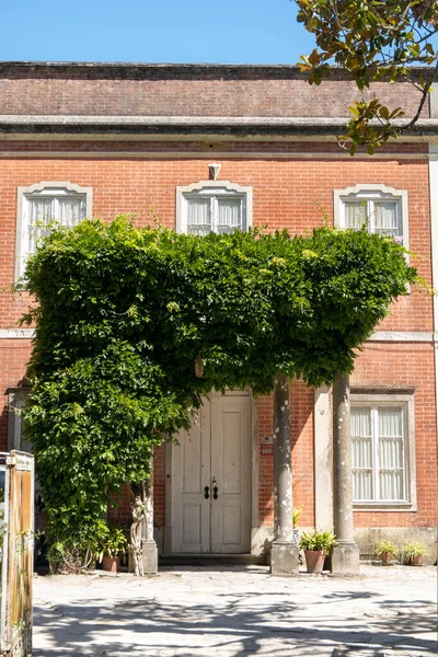 View Large Villa House Ivy Plant Surrounding Front Entrace Door — Stock Photo, Image