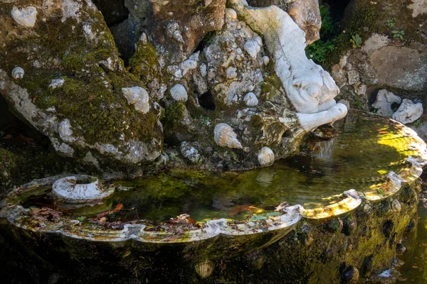 美しい噴水の詳細キンタ レゲリラ シントラに位置 ポルトガル — ストック写真