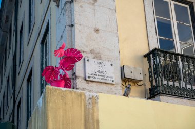 LISBON, PORTUGAL, 28 HAZİRAN 2022: Bir binanın köşesinde şehir sanat eserleri kurulumu.