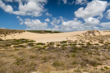 Portekiz, Sintra 'da bulunan Guincho sahilindeki tipik kum tepelerinin güzel manzarası..