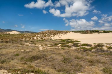 Portekiz, Sintra 'da bulunan Guincho sahilindeki tipik kum tepelerinin güzel manzarası..
