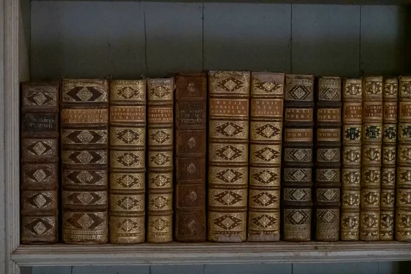 Mafra Portugal Juni 2022 Antika Biblioteksböcker Med Intrikata Detaljer Gyllene — Stockfoto