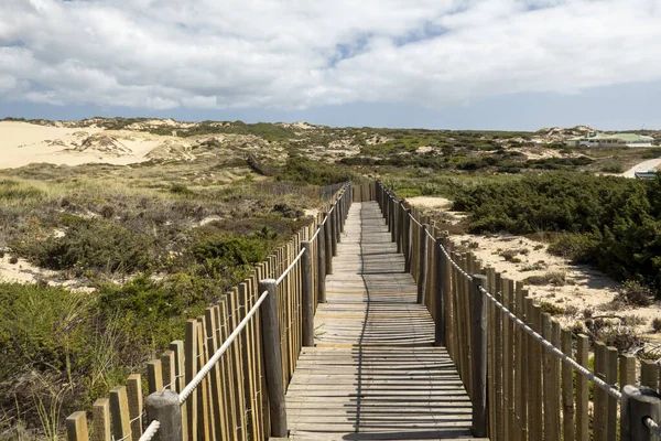 Schöne Aussicht Auf Den Guincho Holzweg Durch Die Sanddünen Sintra — Stockfoto